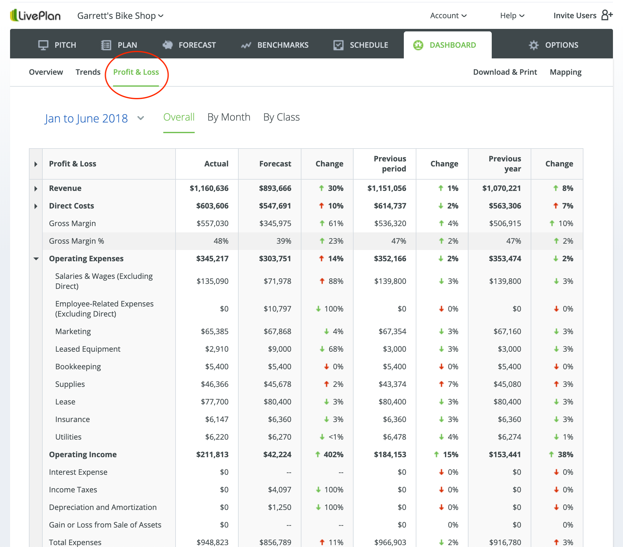LivePlan-Dashboard-PL