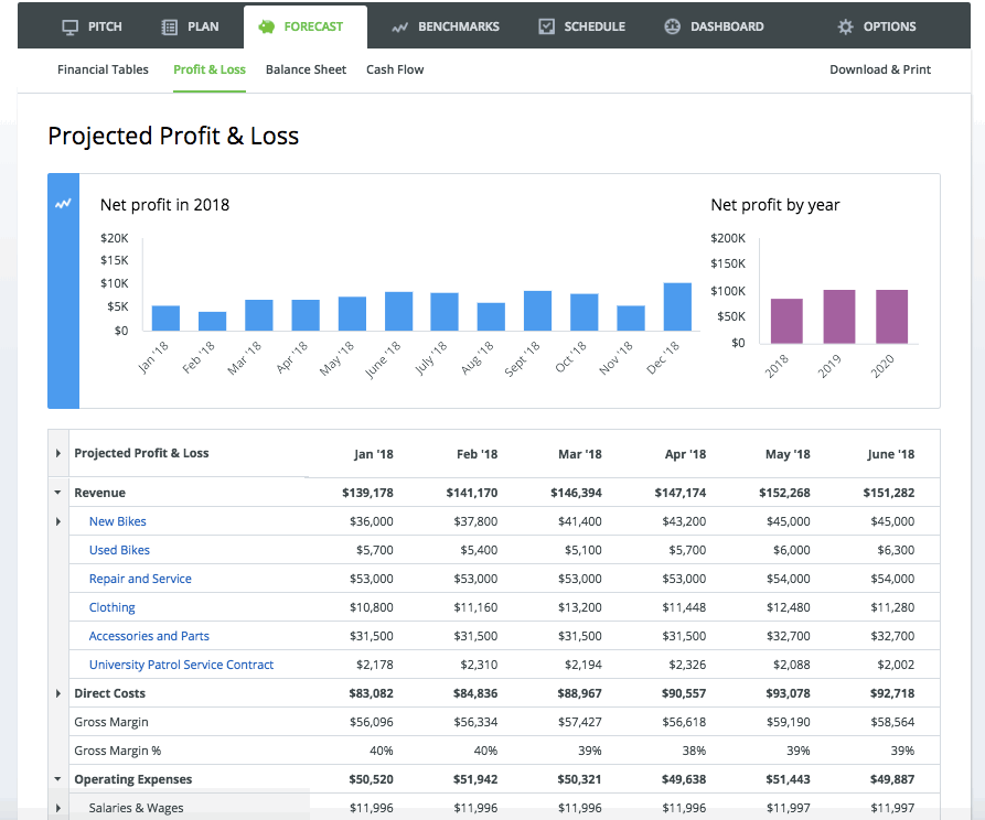 LivePlan Growth Plan Example