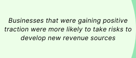 businesses taking risks to develop revenue streams