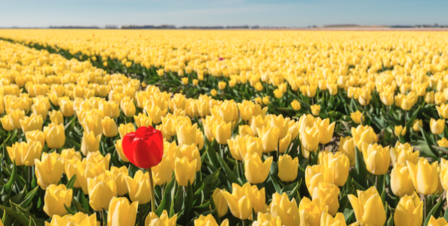 Planning is a Key Strategic Advising Service Planning in Strategic Advising